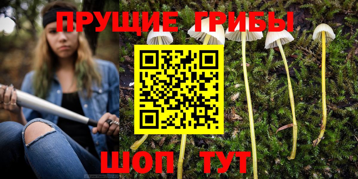Галлюциногенные грибы мицелий  Вход с VPN  Ипатово 